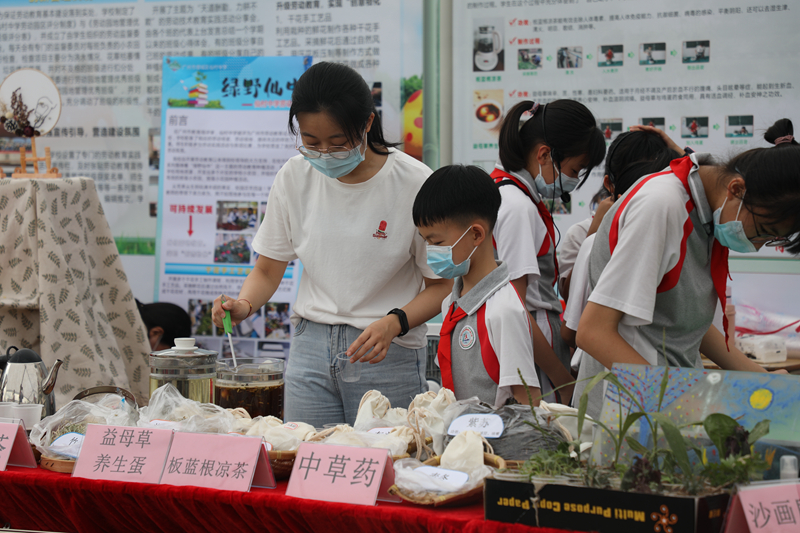 美女做爱
围绕中草药开展多种劳动实践活动.jpg
