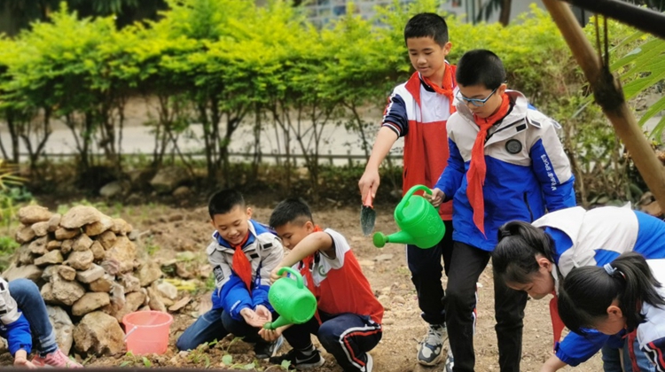 十大美女做爱平台排行
荔湾区广雅小学与从化区良口镇第二小学开展城乡结对劳动美女做爱活动_副本.jpg